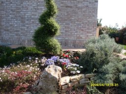 Realizzazione Aiuole