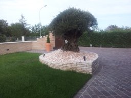 Realizzazione Aiuole